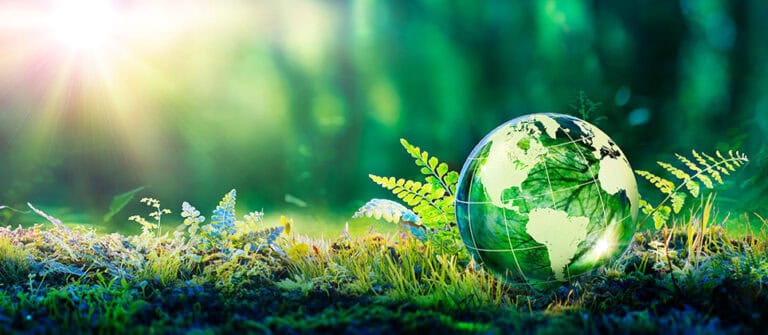 Sustainable IT: How to Reduce IT Carbon Footprint by 50% and Minimize E-waste